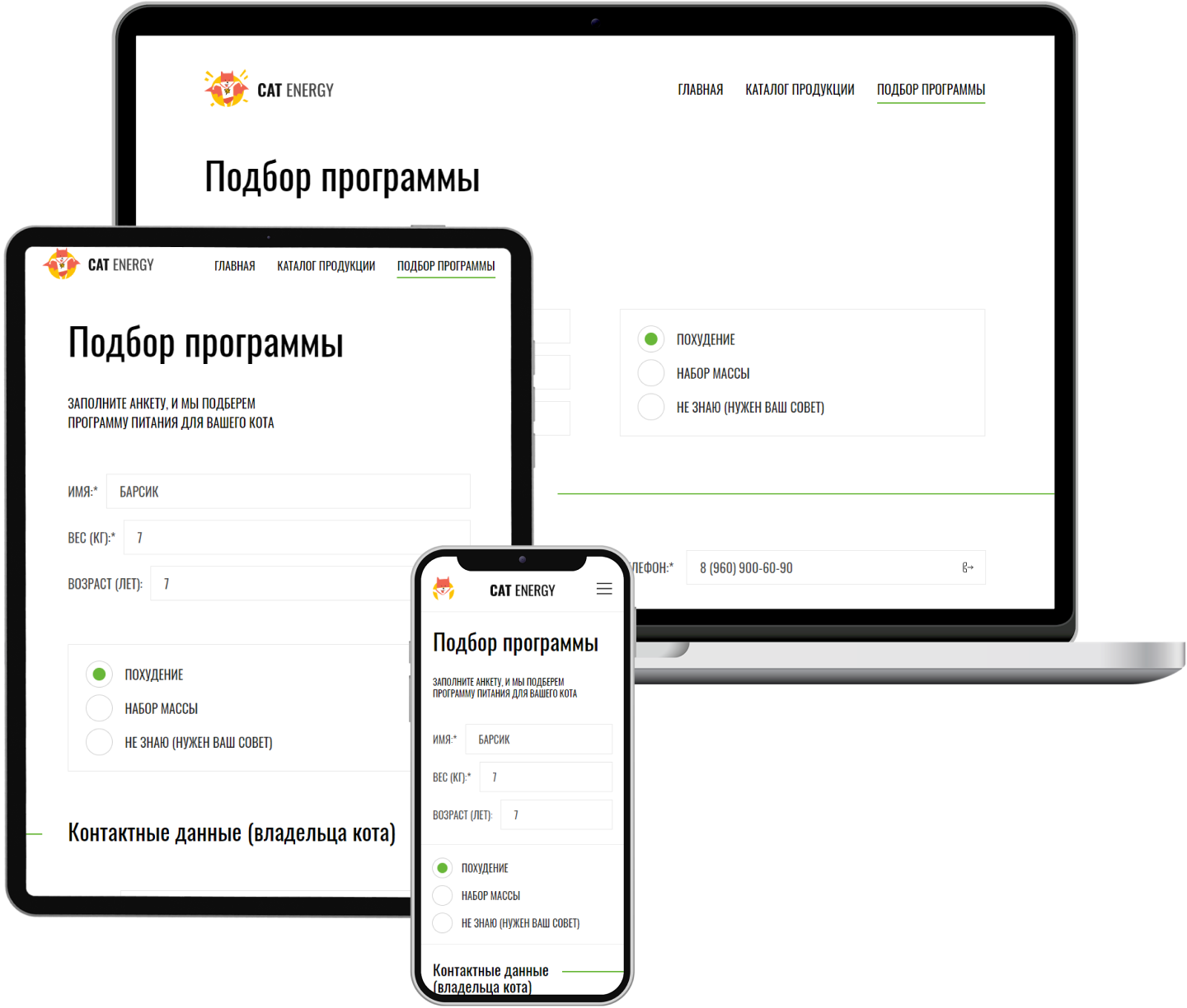 Страница подбора программы Кэт Энерджи на трех устройствах. Смартфон, планшет, компьютер.